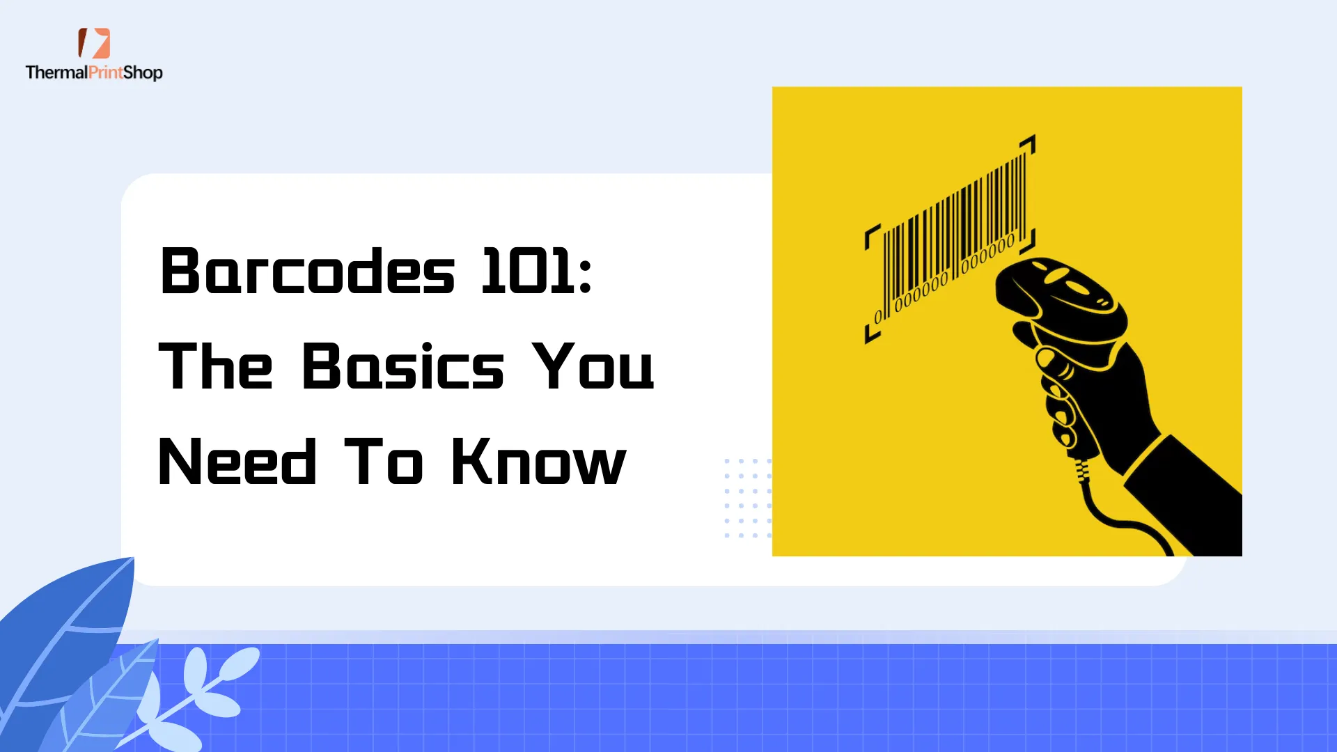 Barcodes 101 The Basics You Need to Know